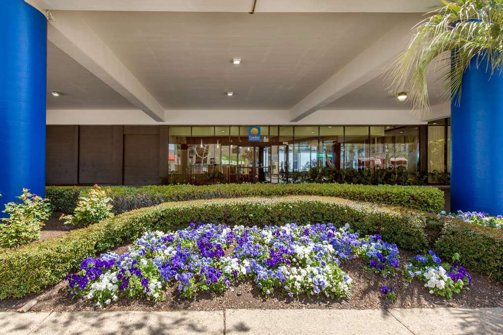 Coastal Hotel & Suites Virginia Beach - Oceanfront Εξωτερικό φωτογραφία